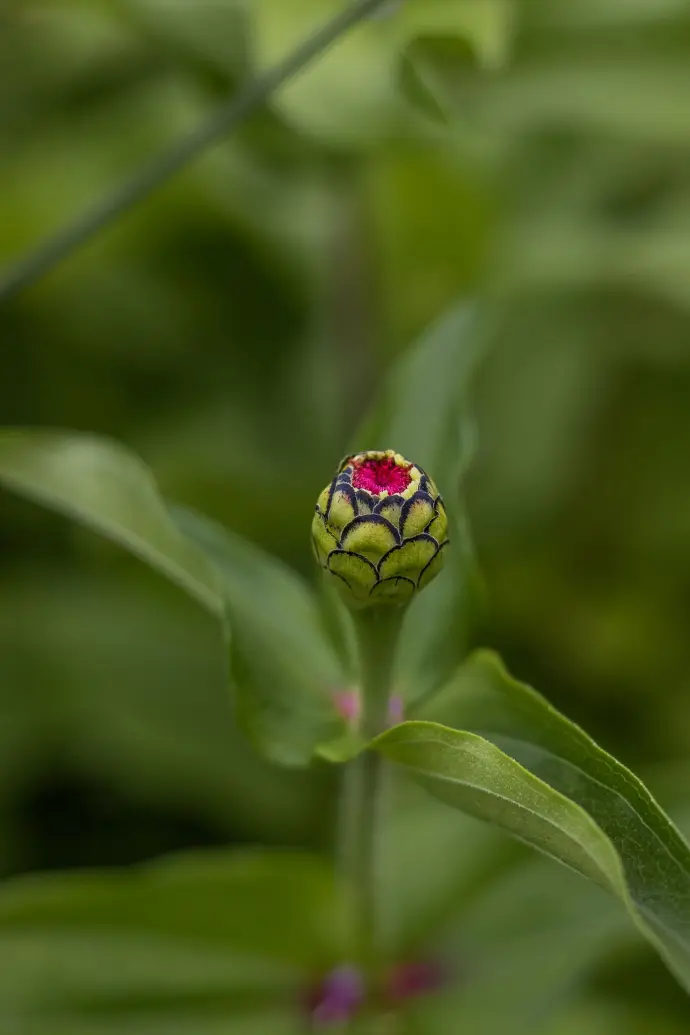 © Nathalie Gabelmann @buntundherzlich