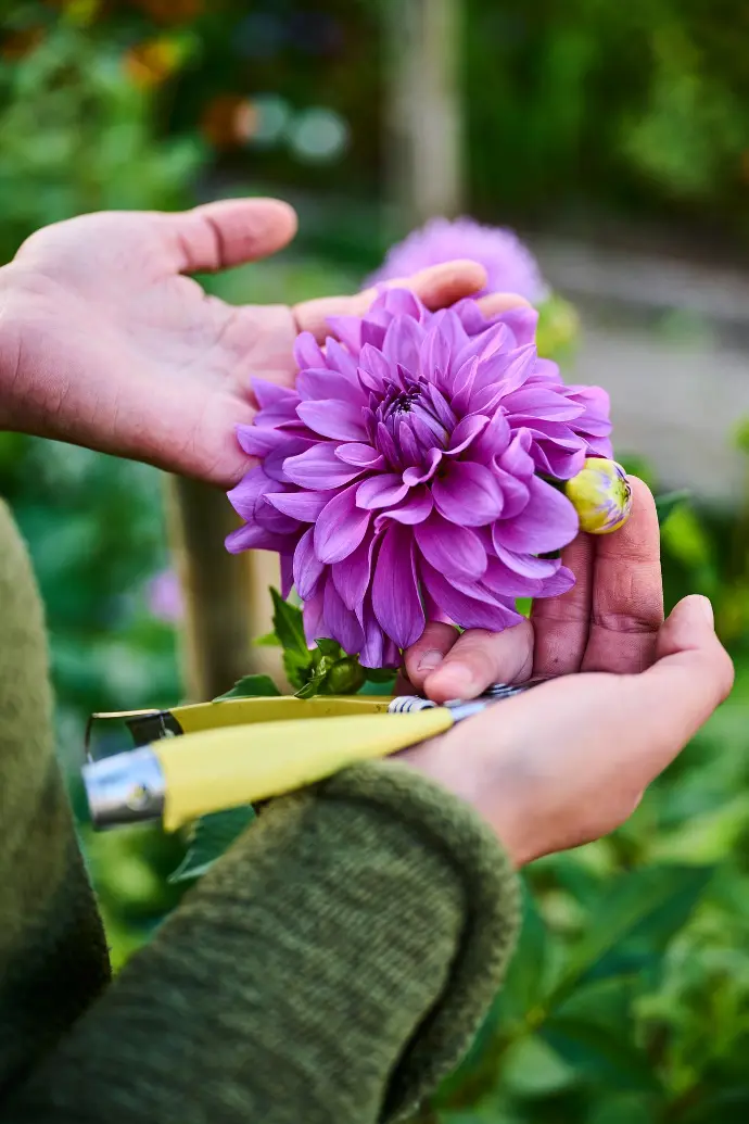 © Nathalie Gabelmann @buntundherzlich