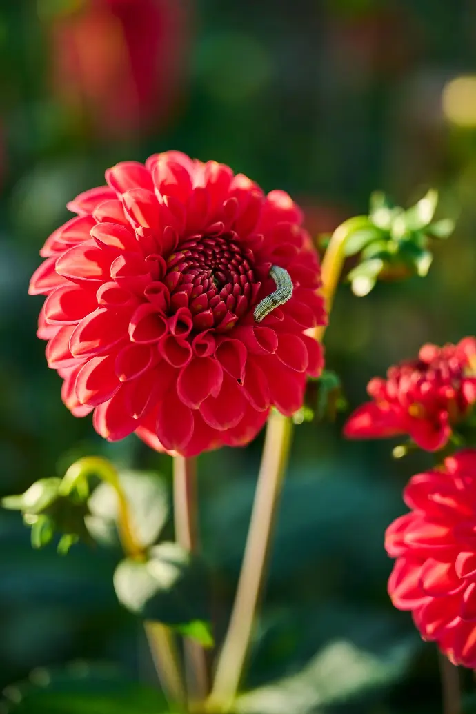 © Nathalie Gabelmann @buntundherzlich